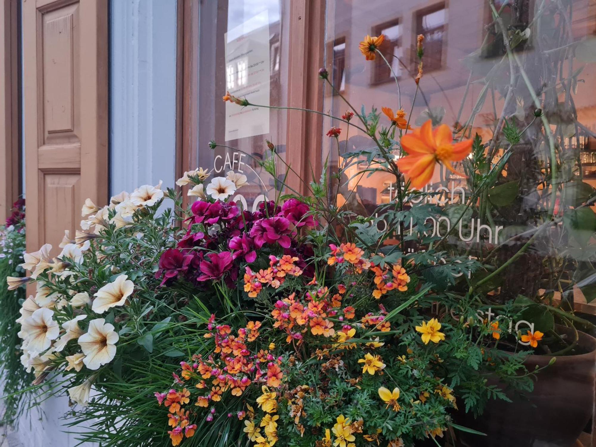 K5-Suites In Der Altstadt Annaberg-Buchholz Ngoại thất bức ảnh